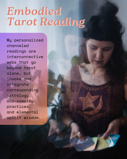LIVE Embodied Tarot Reading with Rachael