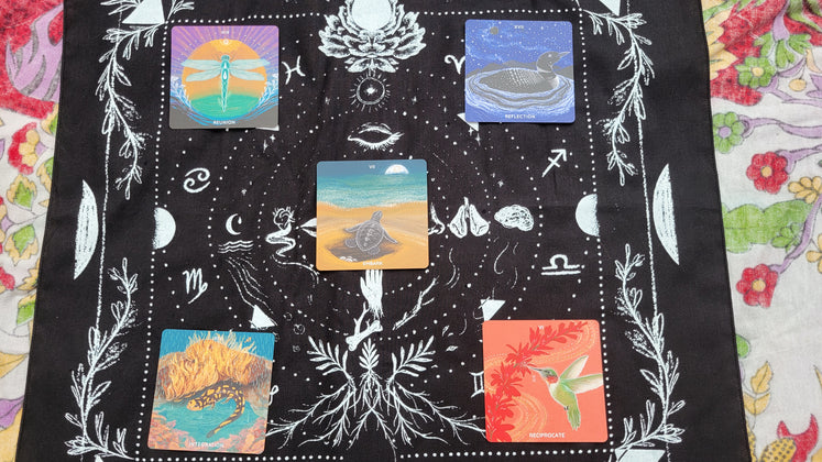 20250503_120633.jpg__PID:05fd310b-352f-44c6-8acc-8826fb6ff148