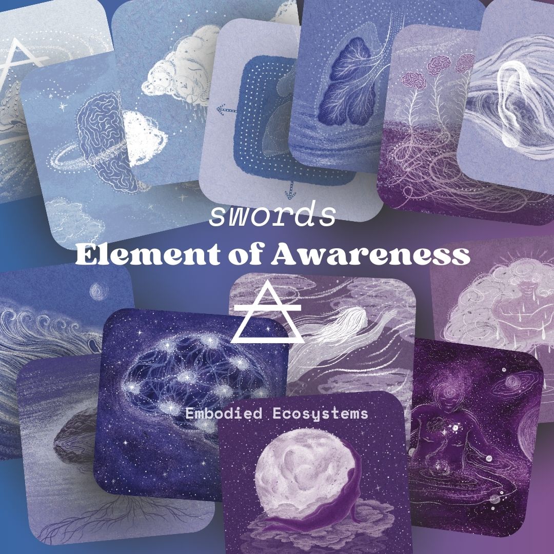 Embodied Ecosystems Tarot Oracle Deck card spread: swords, air, awareness