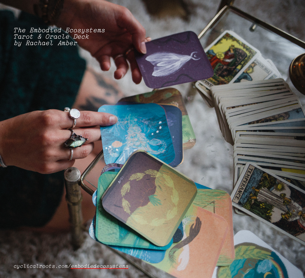 LIVE Embodied Tarot Reading with Rachael