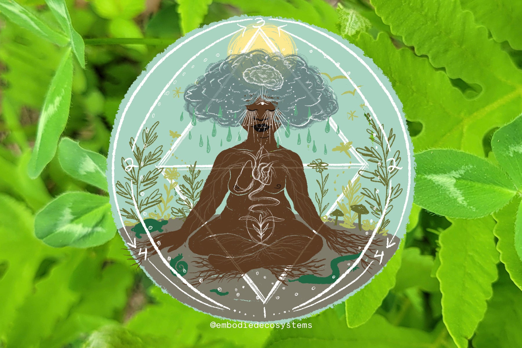 The LIVE Embodied Ecosystems Experience (EEE) Community Eco-Tarot Exploration