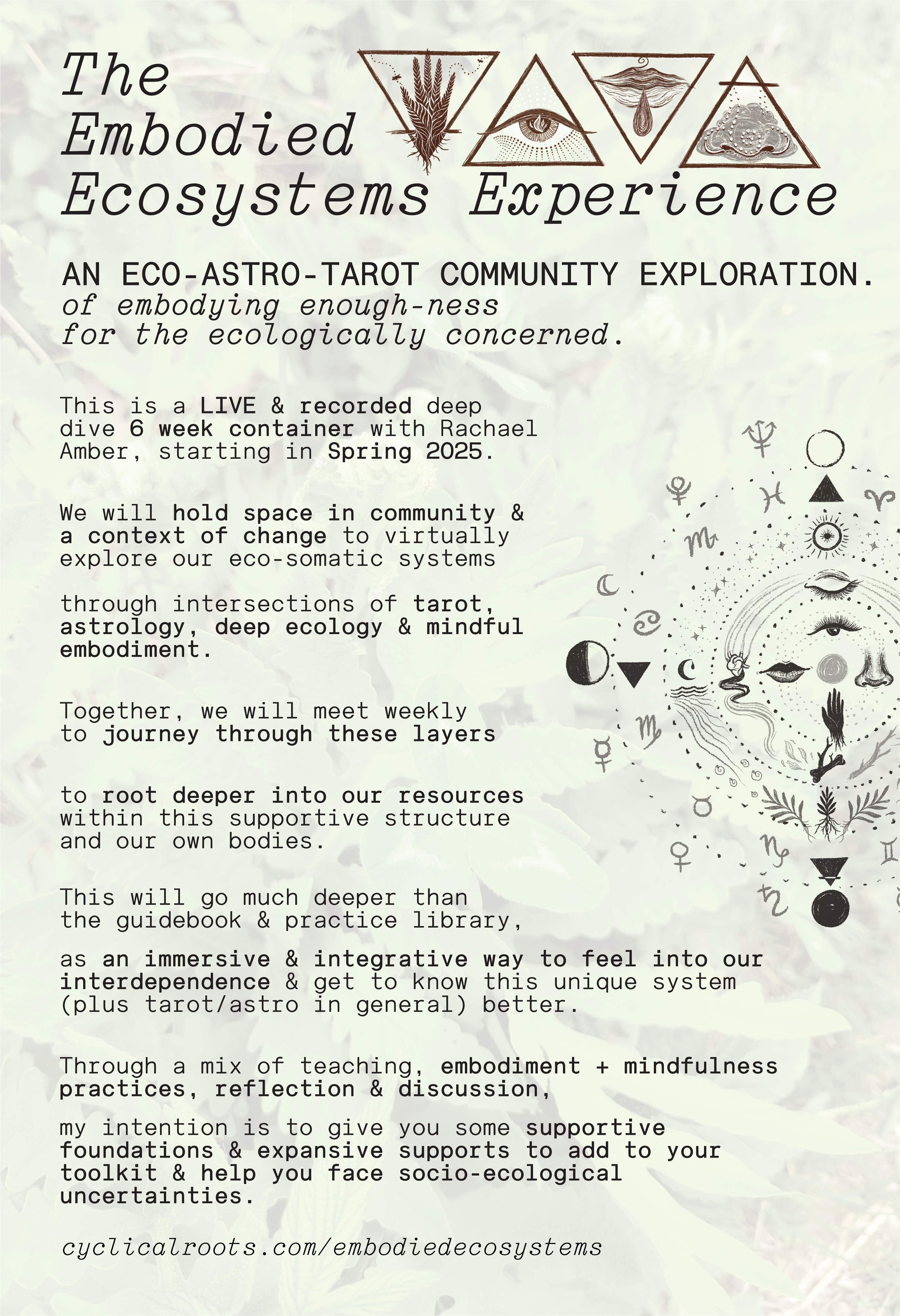 The LIVE Embodied Ecosystems Experience (EEE) Community Eco-Tarot Exploration