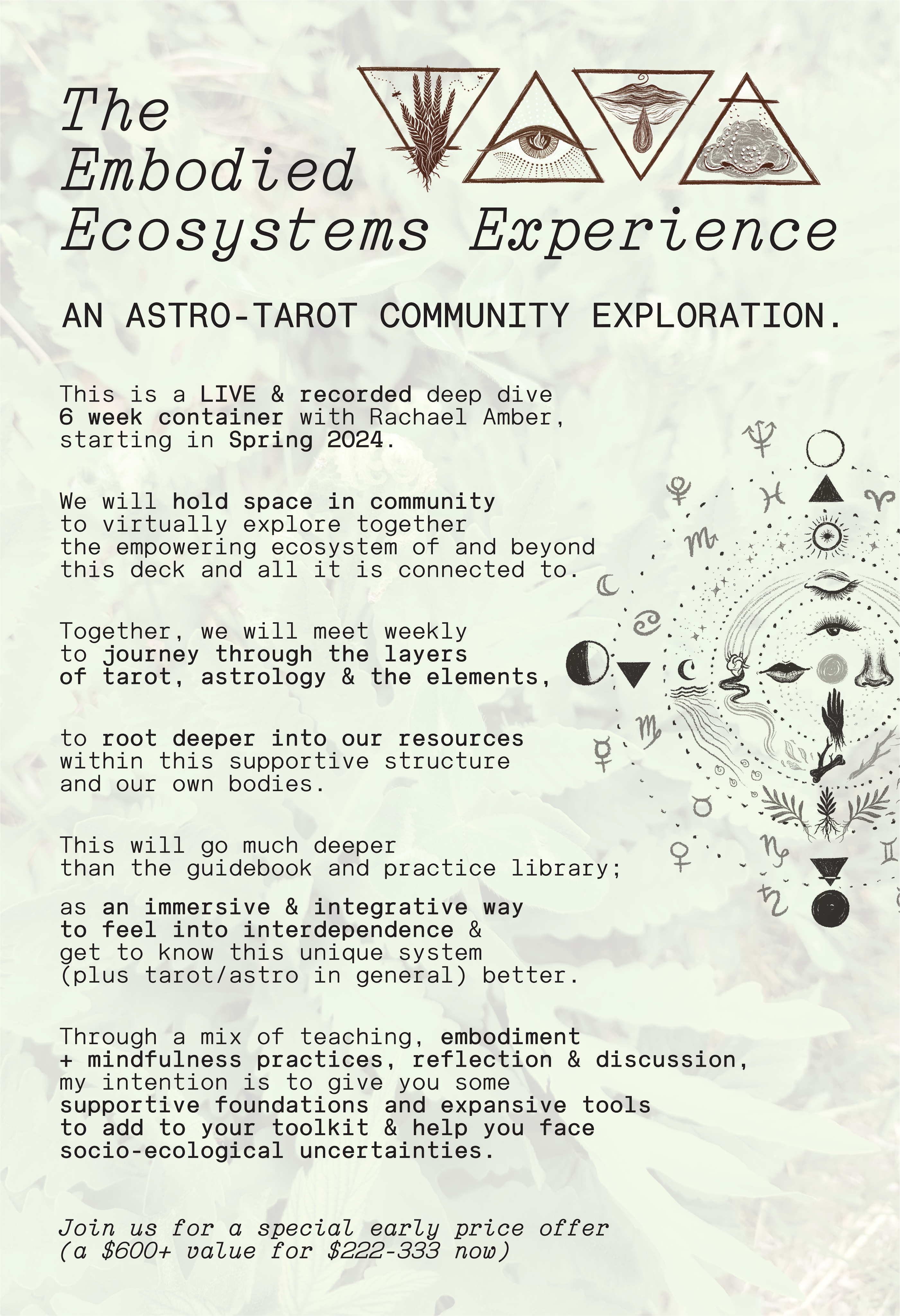 The LIVE Embodied Ecosystems Experience (EEE) Community Eco-Tarot Exploration