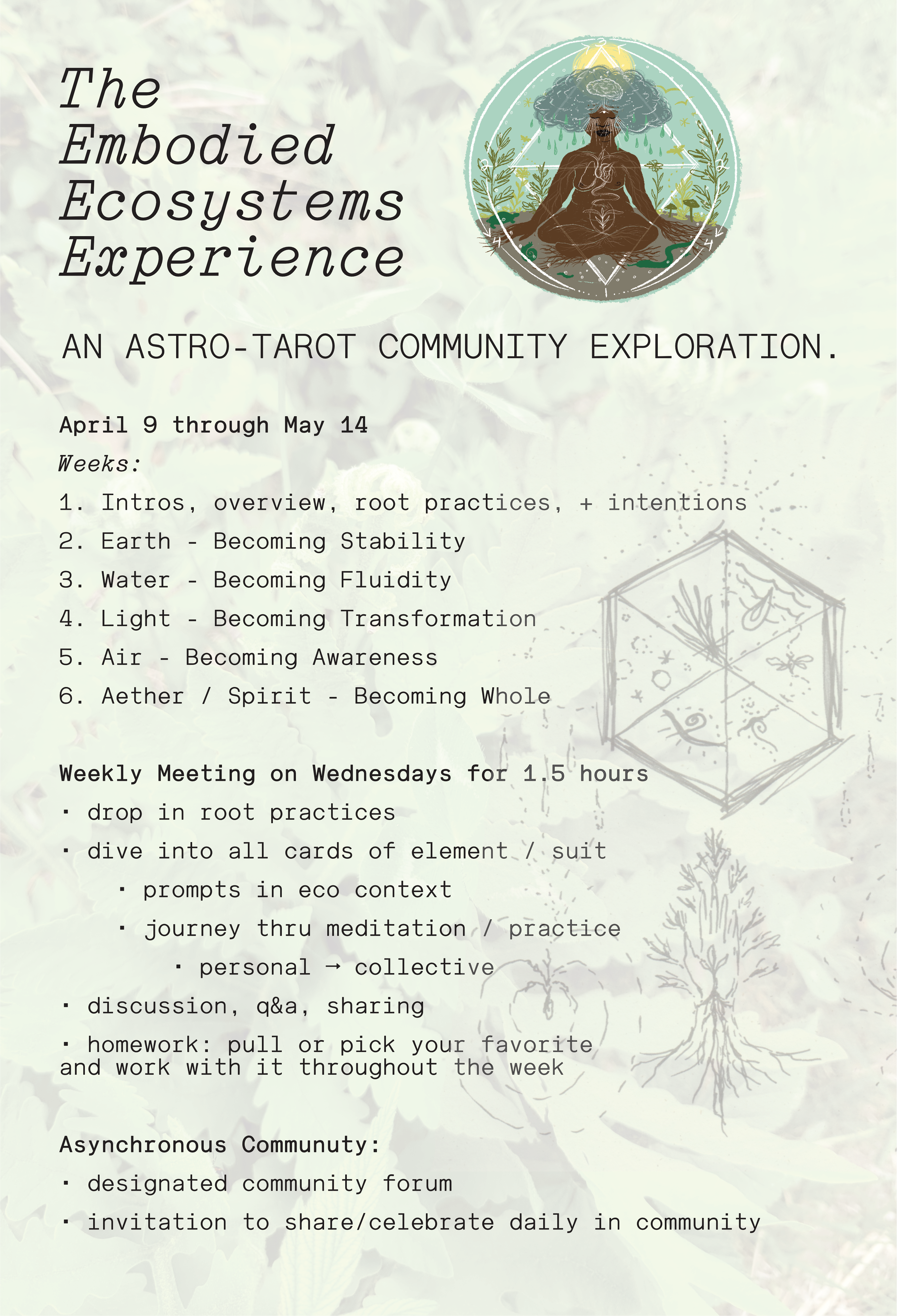 The LIVE Embodied Ecosystems Experience (EEE) Community Eco-Tarot Exploration