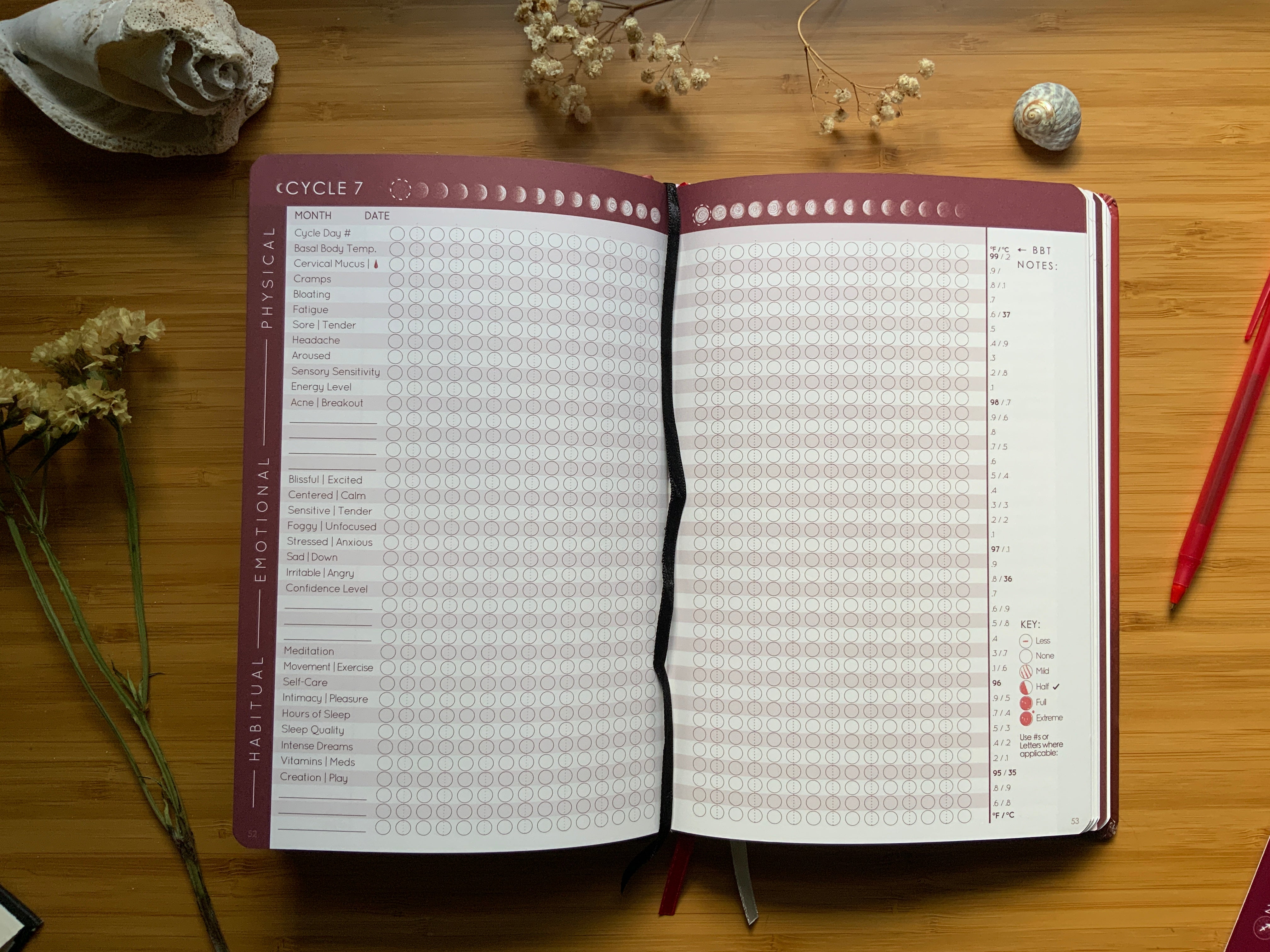 {PRE-ORDER} CYCLES JOURNAL® Your Lunar-centric Pattern Tracker + Planner (undated)