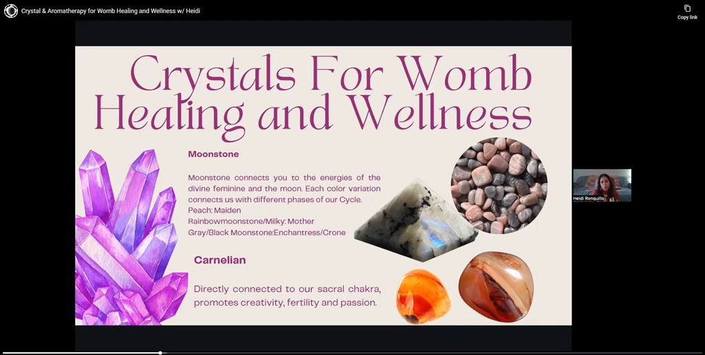 Wisdom Workshop Archive Bundle - Cyclical Roots & Cycles Journal – Healing tools & grounding guides for self-awareness & collective wellbeing