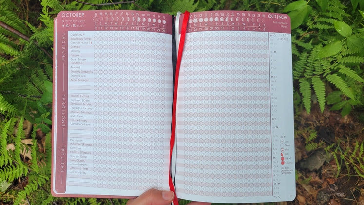 Cycles Journal® 2026: Lunar Planner & Cycle Tracker for Whole-Body Awareness — more than just mental &/or menstrual health