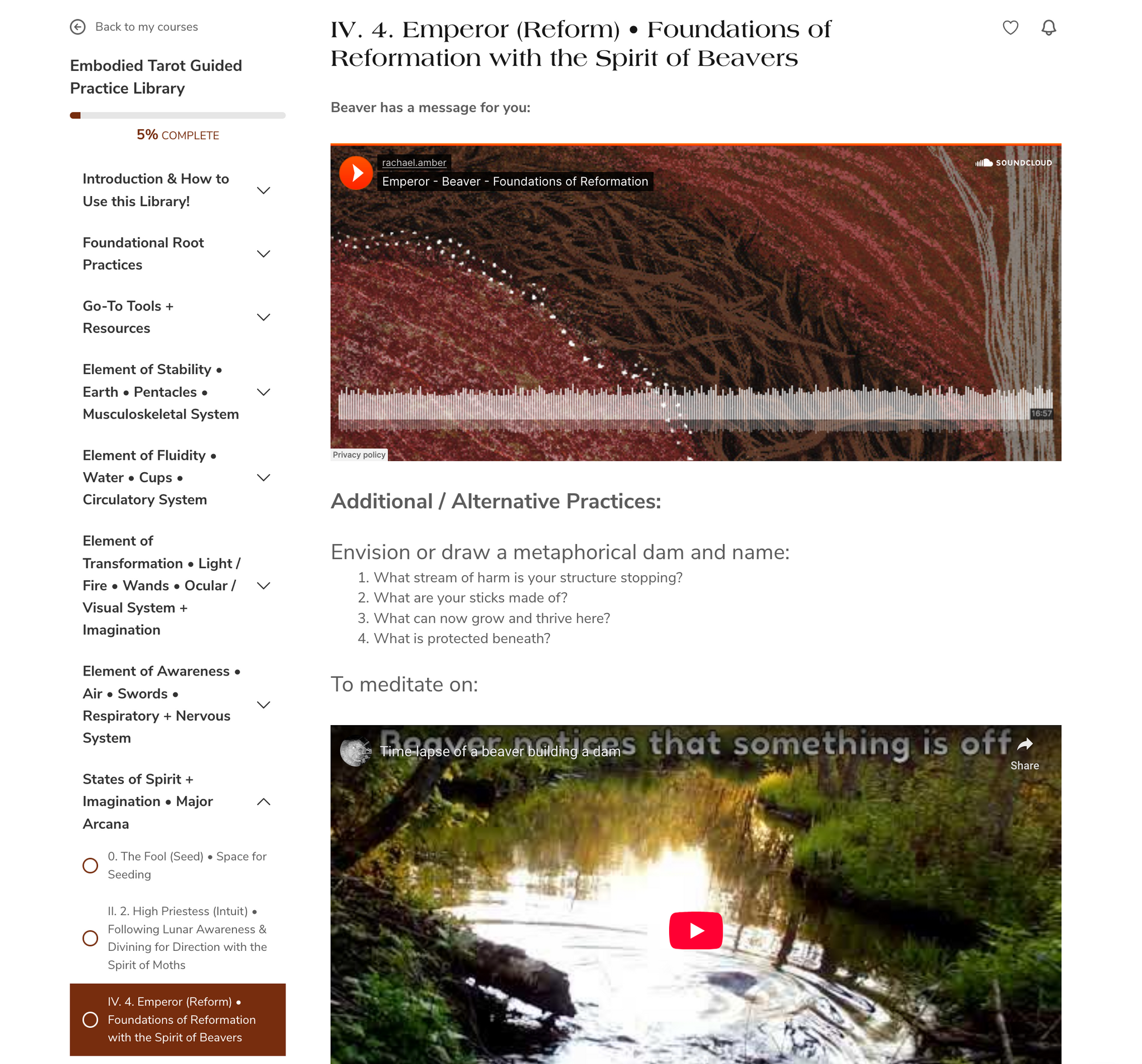 {Early Access} Embodied Tarot Guided Practice Library