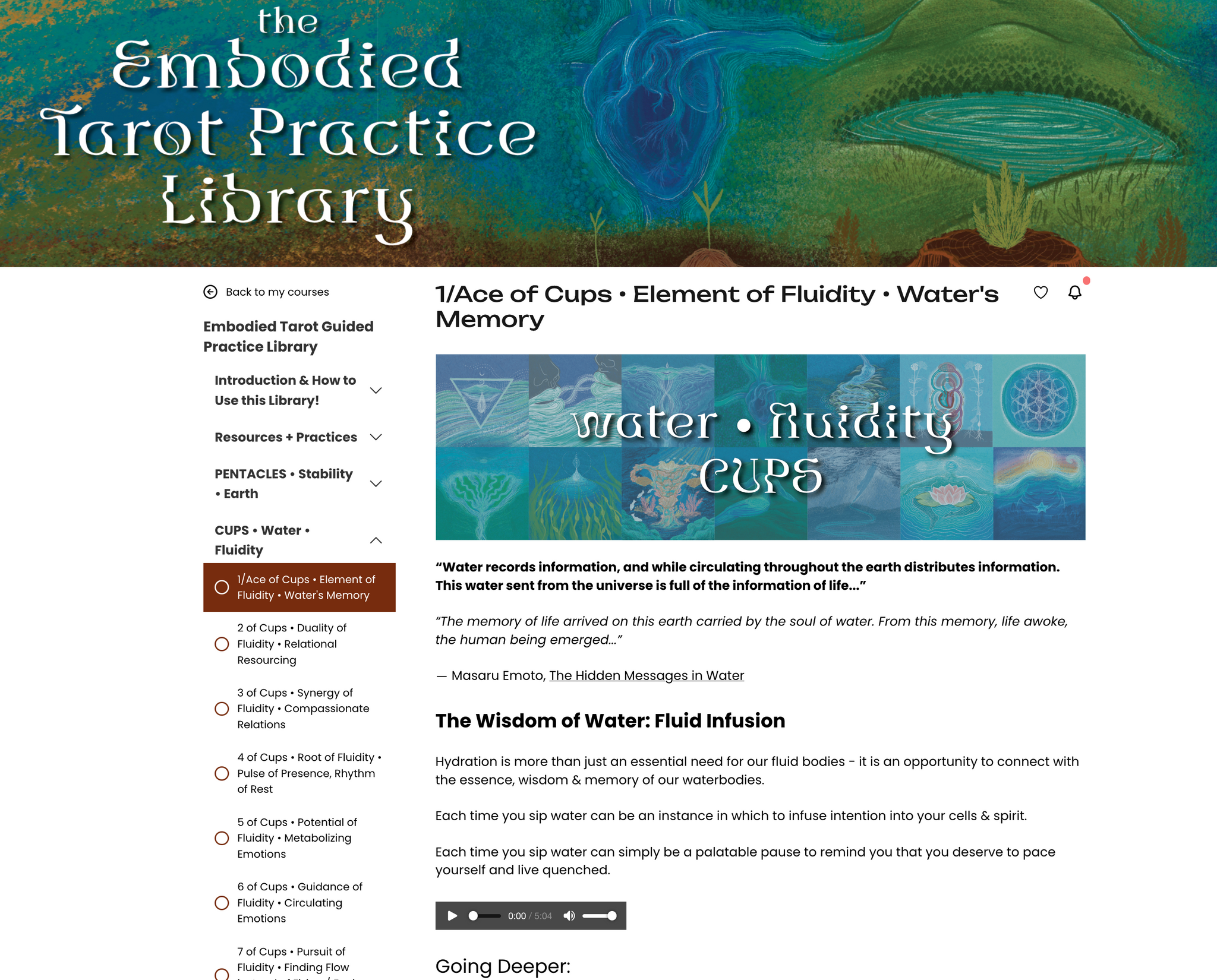 Embodied Ecosystems Tarot-Oracle Deck & Guidebook