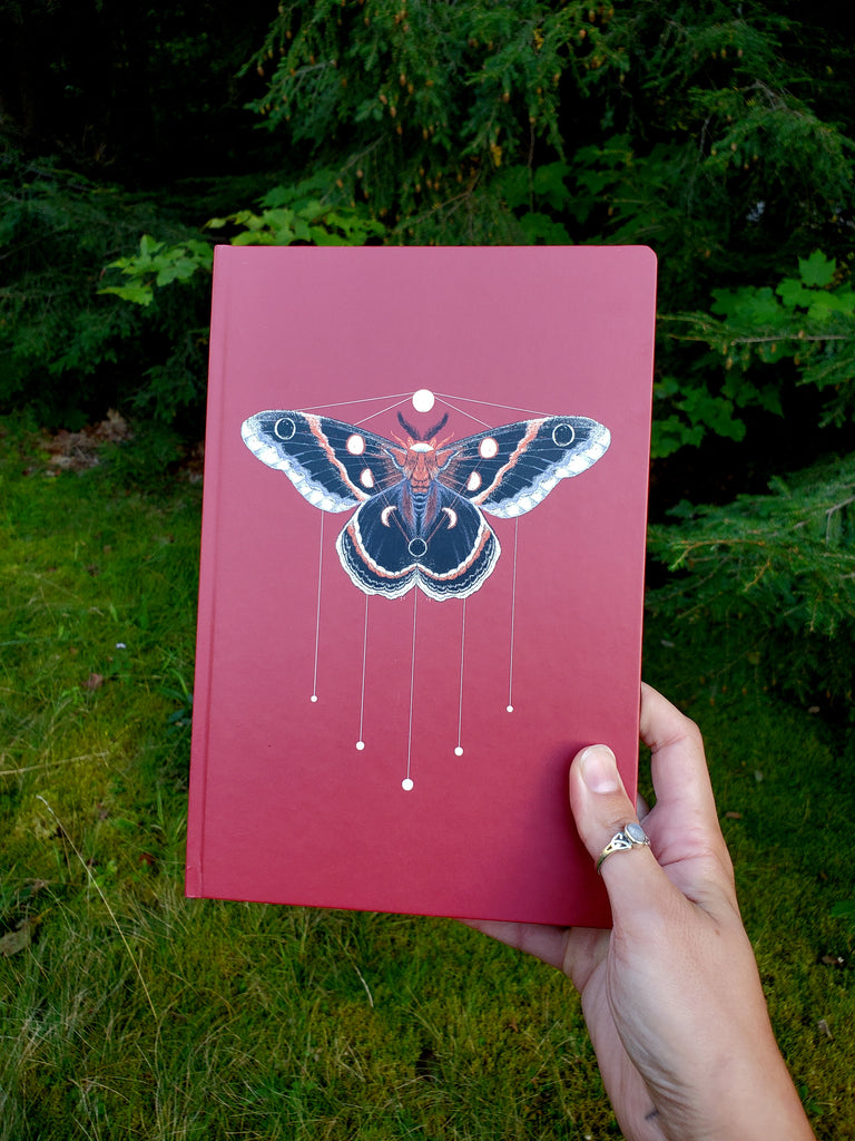 Cyclical Notebook against plant background - a tool for grounding, mindfulness, and awareness