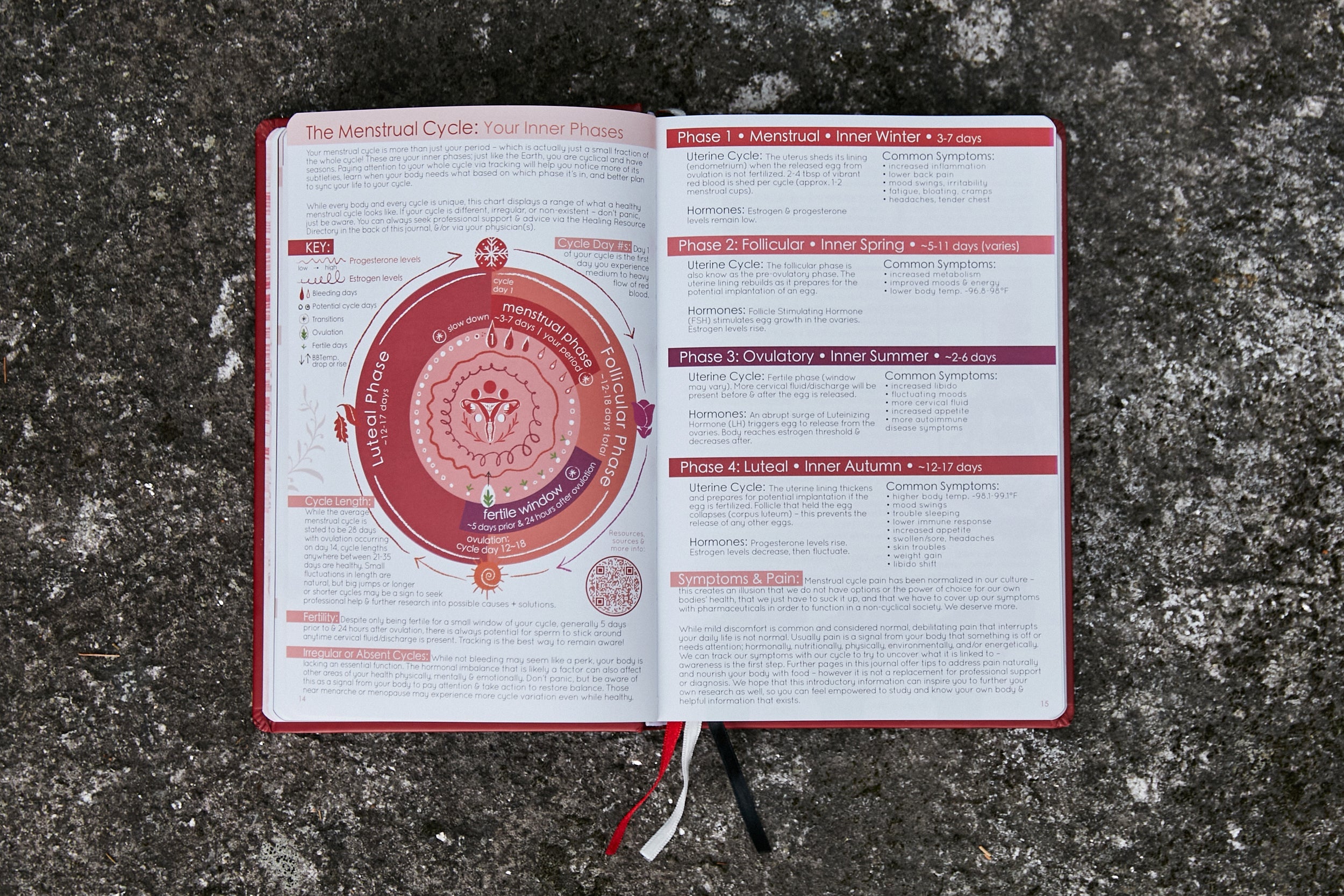 Wholesale - Cycles Journal® 2025: Moon, Menstrual & Mental Health Tracker - Cyclical Roots & Cycles Journal – Healing tools & grounding guides for self-awareness & collective wellbeing