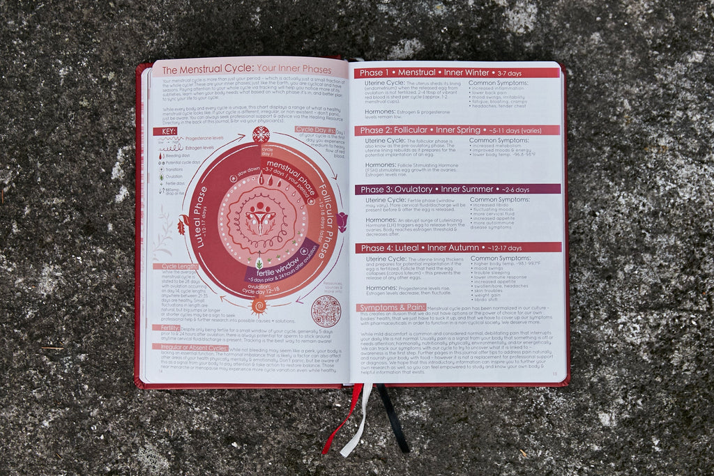 Wholesale - Cycles Journal® 2025: Moon, Menstrual & Mental Health Tracker - Cyclical Roots & Cycles Journal – Healing tools & grounding guides for self-awareness & collective wellbeing