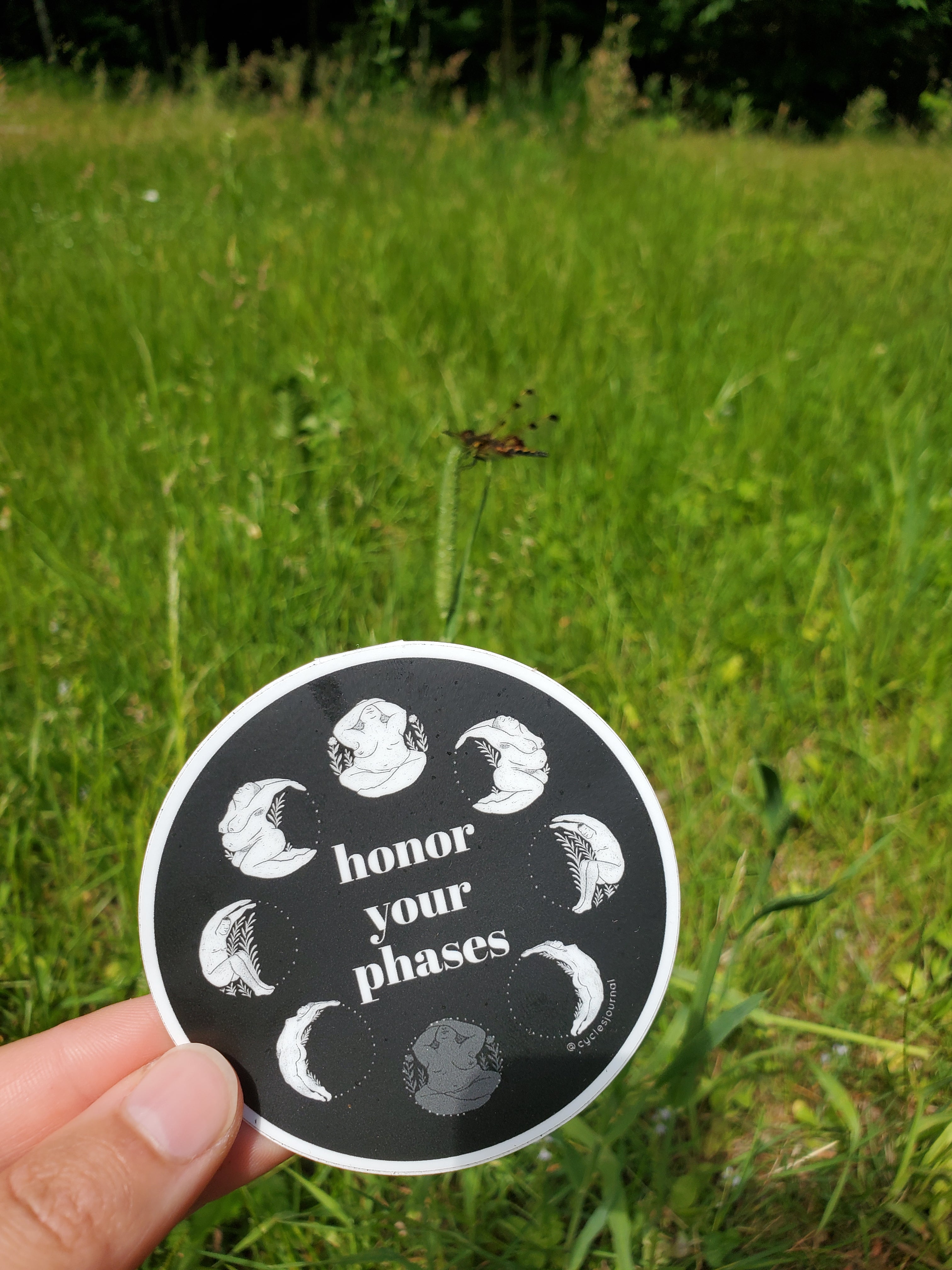 Honor Your Phases Vinyl Sticker - Cyclical Roots & Cycles Journal – Healing tools & grounding guides for self-awareness & collective wellbeing